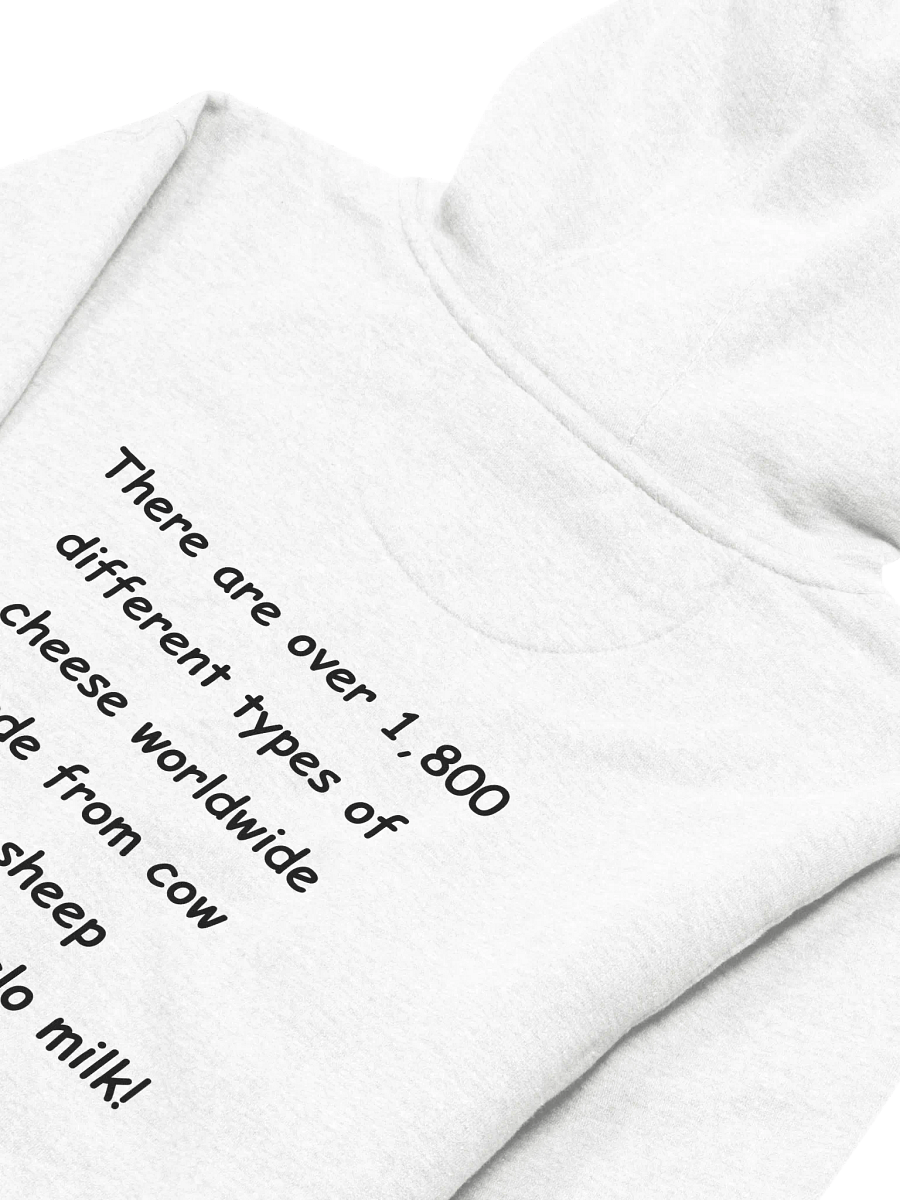Skater's Silhouette Premium Hoodie product image (4)
