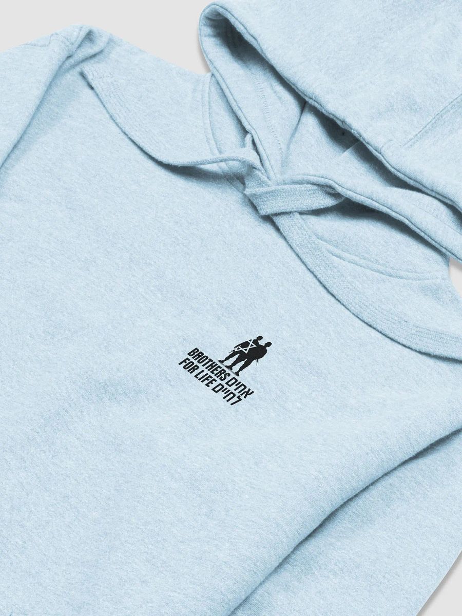 Unisex BFL hoodie product image (20)