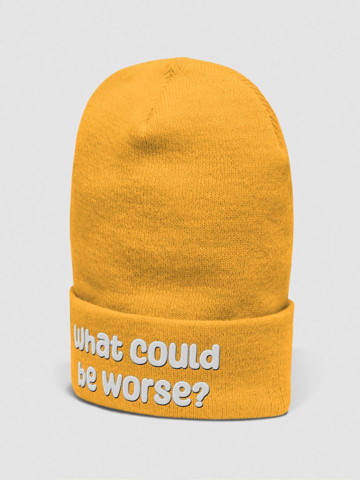 What Could Be Worse? Beanie - bold colours product image (4)
