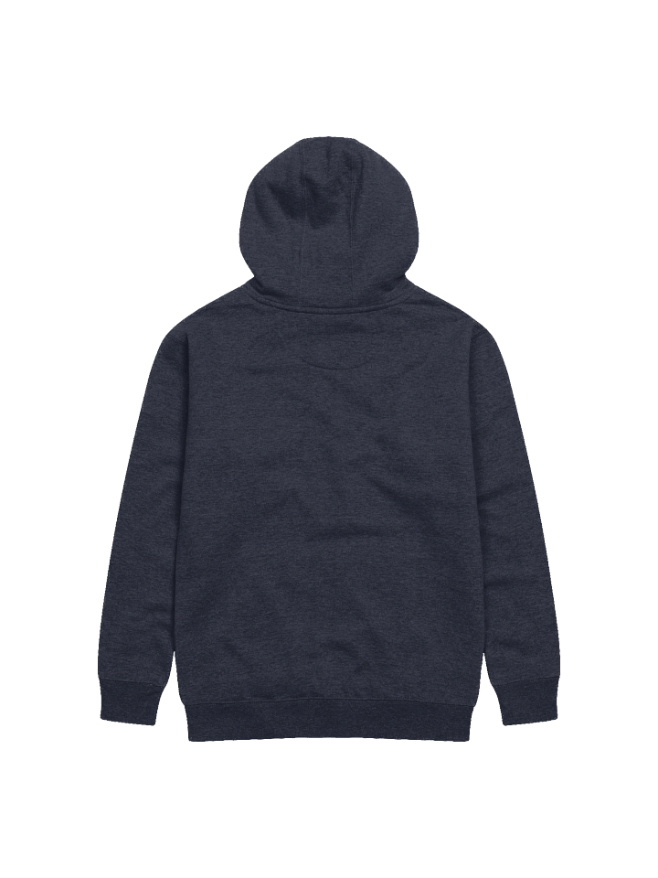 Embroidered Hoodie product image (6)