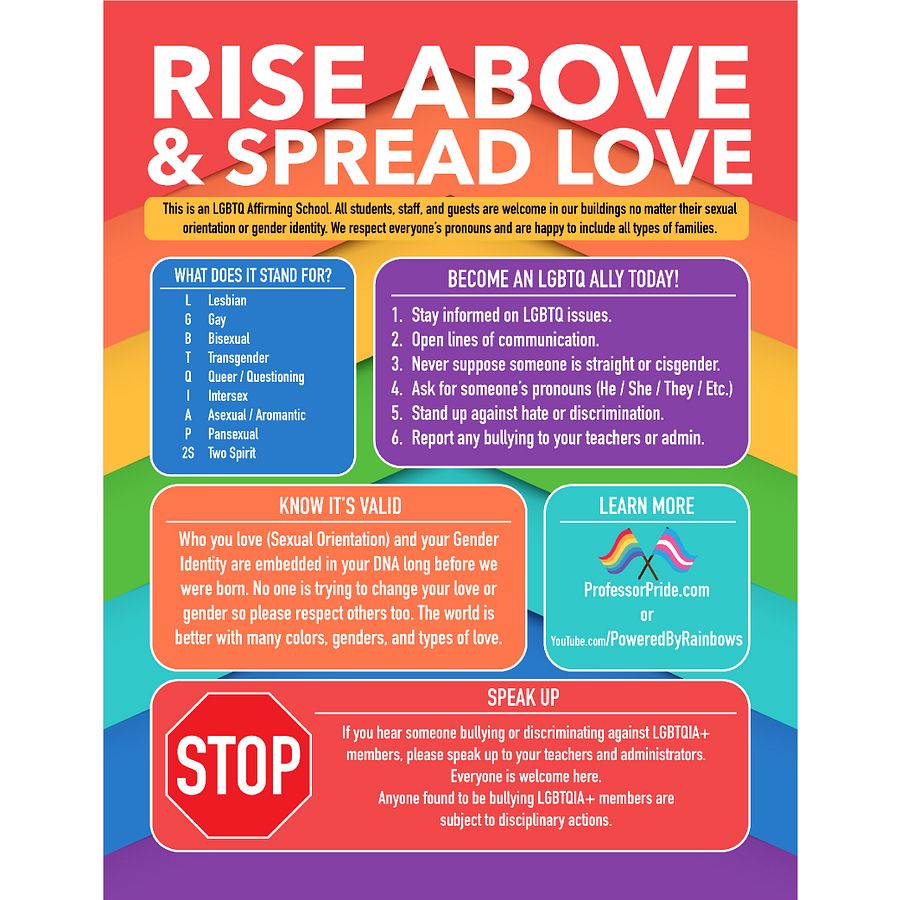 Rise Above Bullying Posters (for Schools) product image (5)