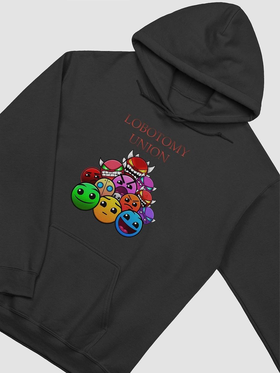 LOBOTOMY UNION CLASSIC HOODIE product image (2)