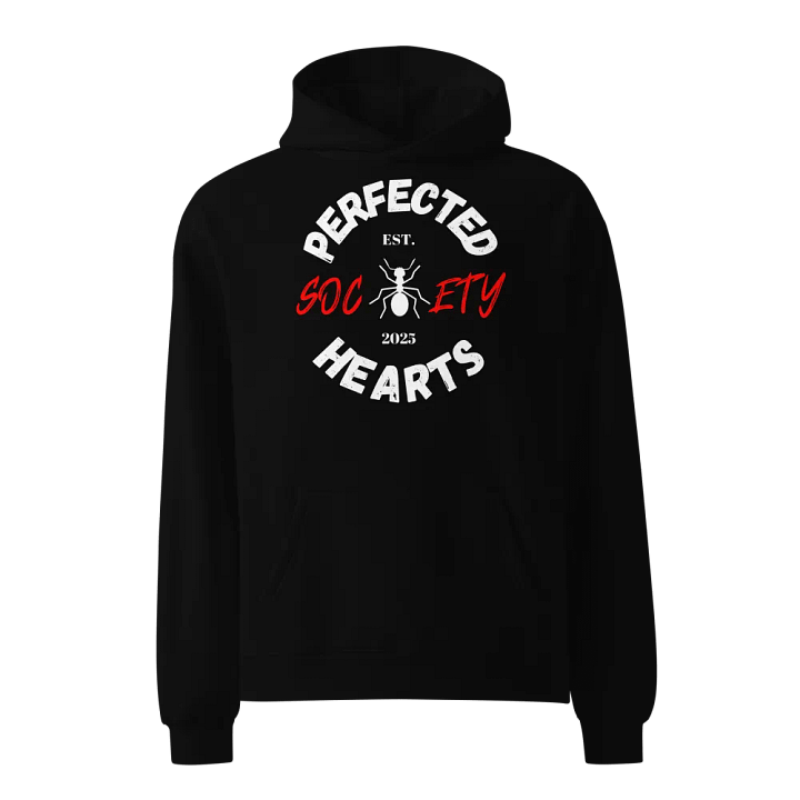 PHS (BLK) Oversize Hoodie product image (1)
