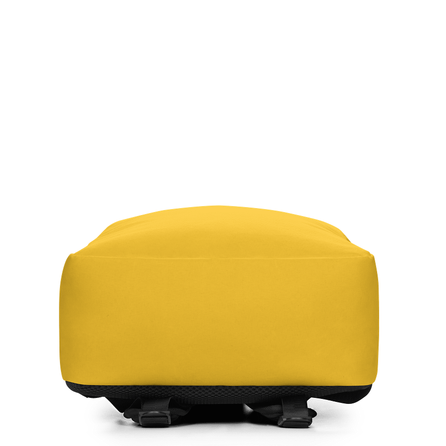 RICHEVERYRICH SUNNY Backpack product image (4)