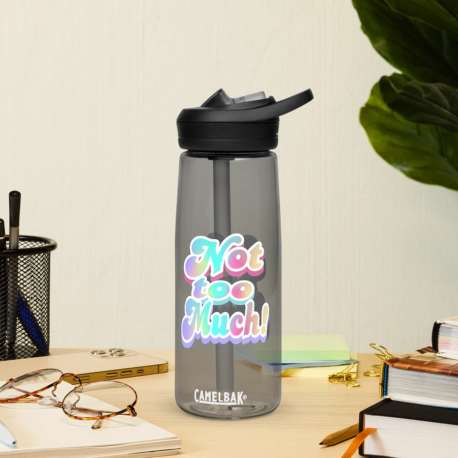 Whimsical Double 'Not Too Much' Water Bottle product image (38)