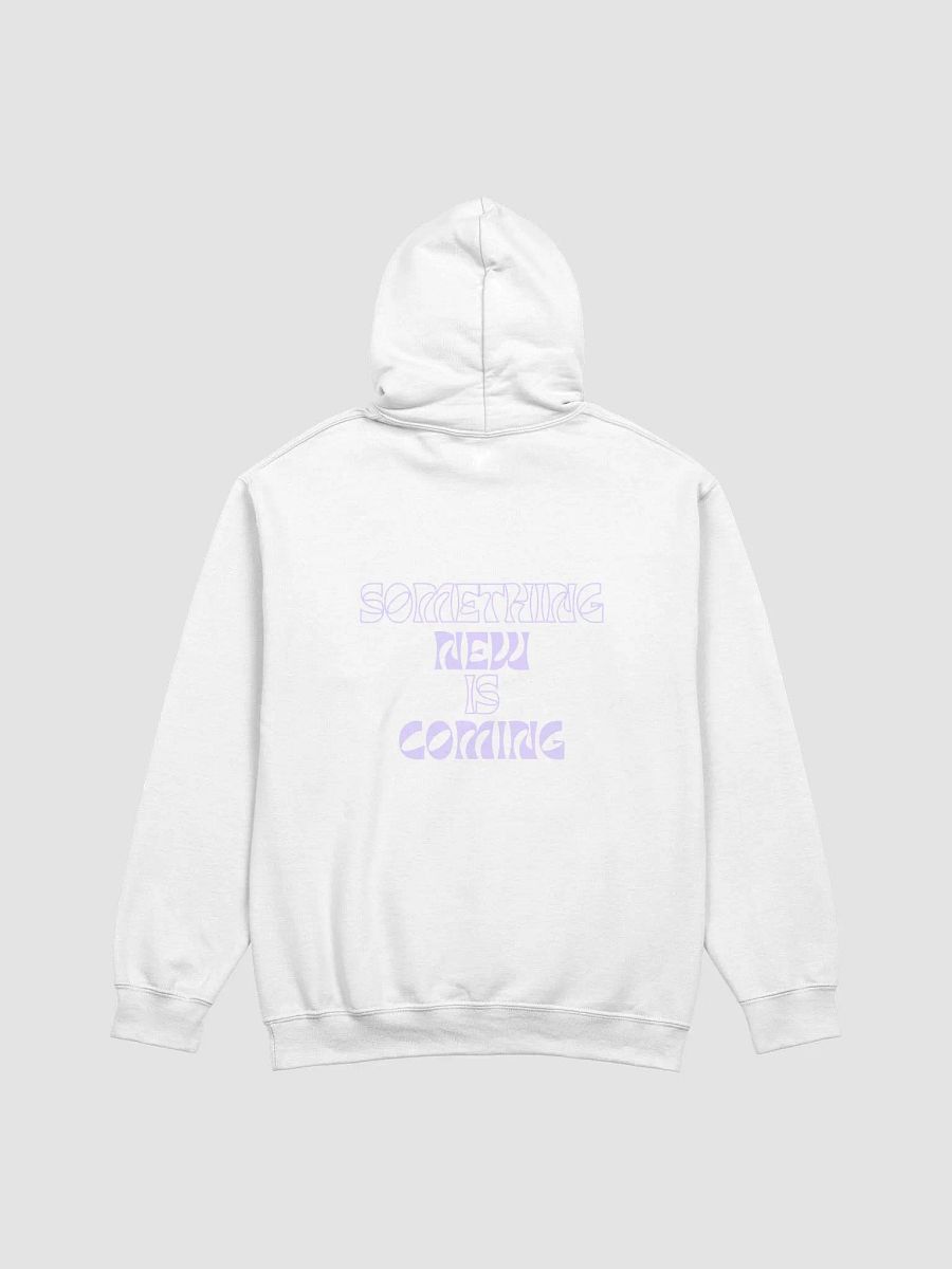 555 hoodie product image (3)