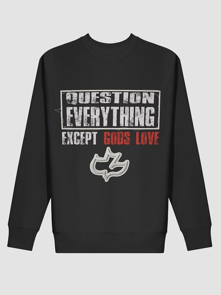 Question Everything Comfort Premium Sweatshirt product image (5)