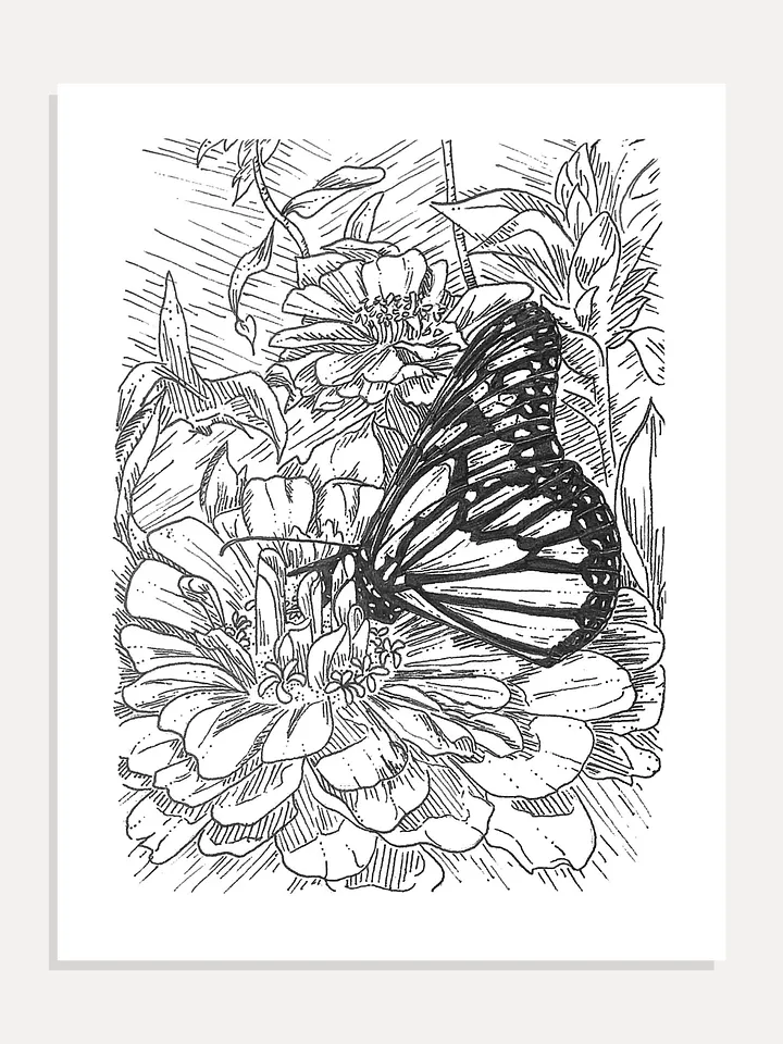 Butterfly in Ink Giclée Art Print product image (1)