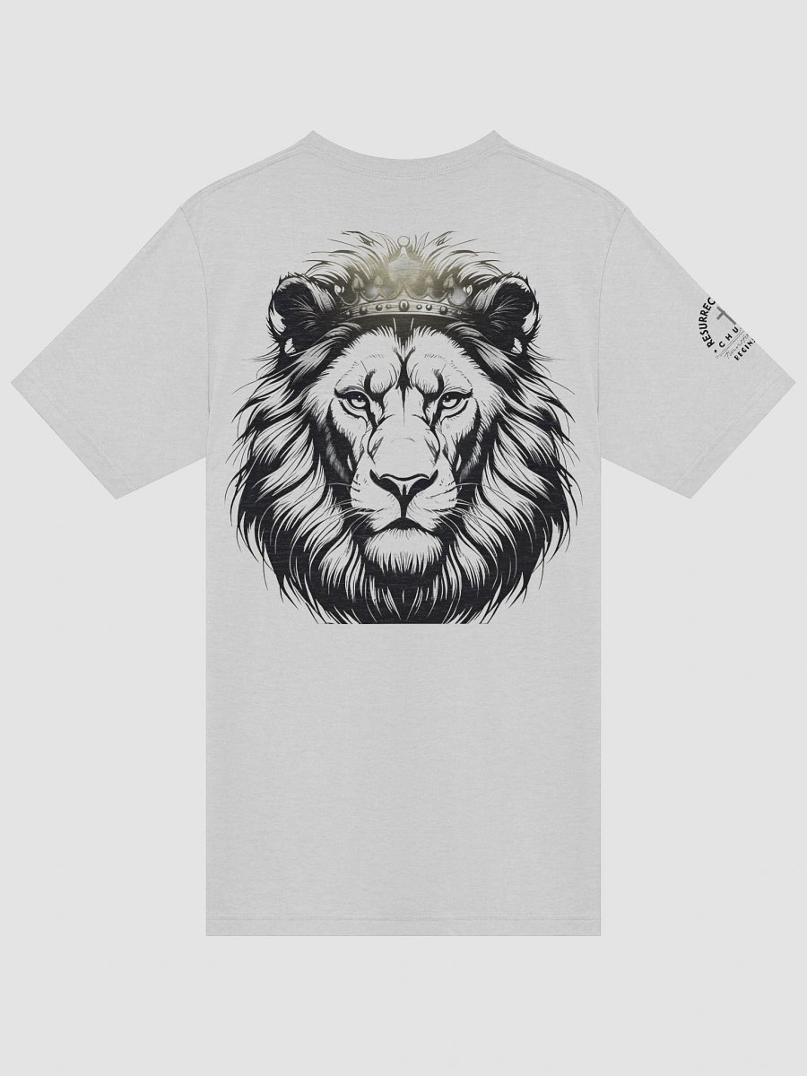 Lion of Judah Unisex Tee product image (28)