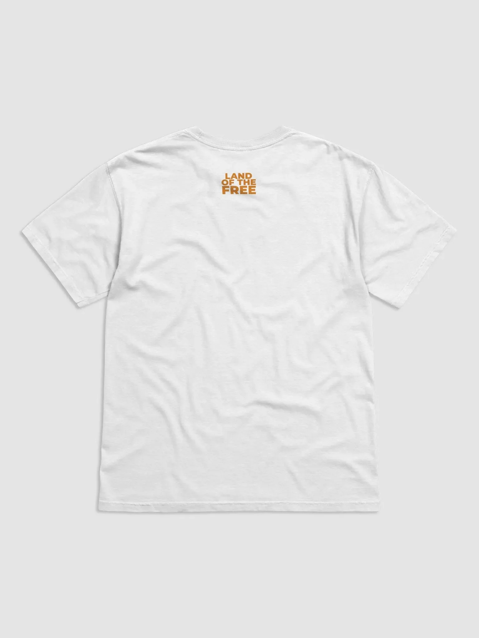 Orange Stripe American Flag Tee product image (2)