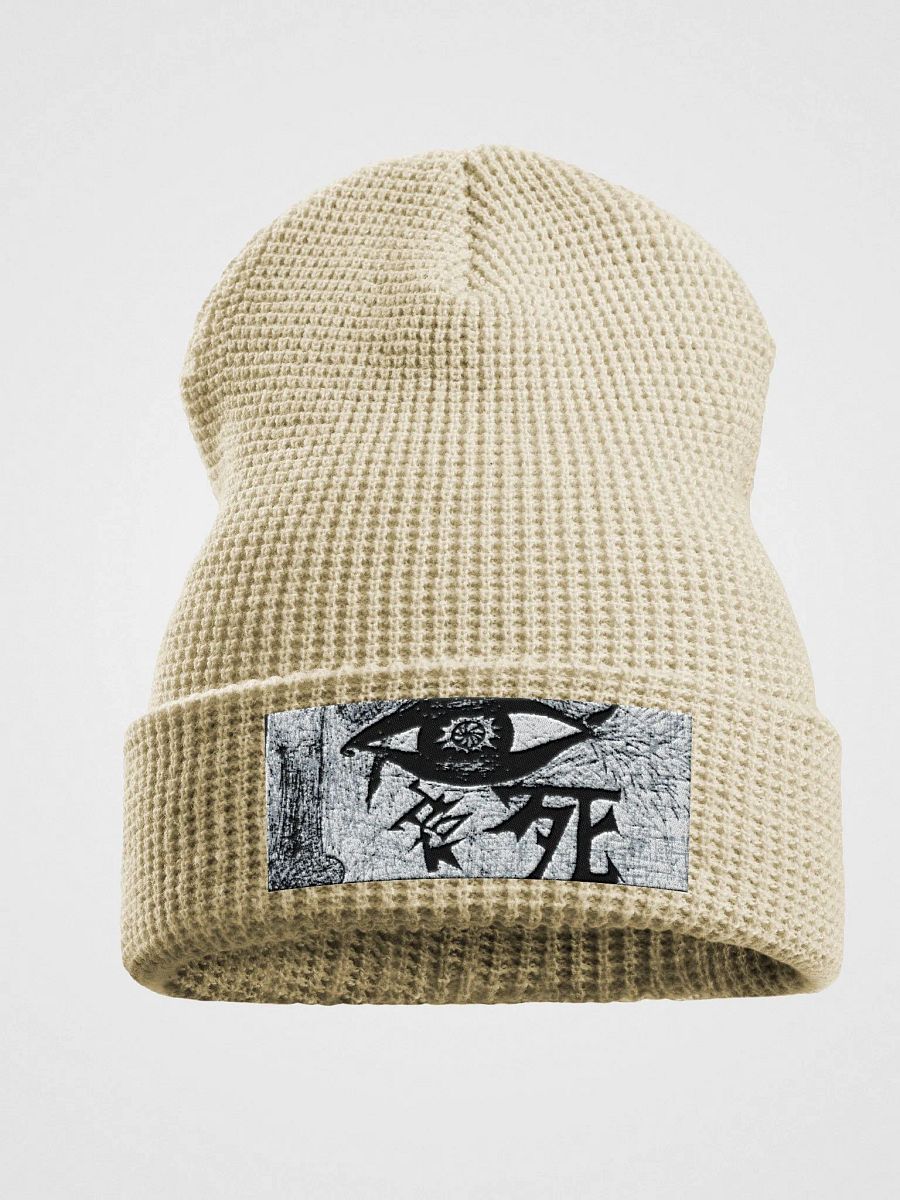 death without reason beanie product image (4)