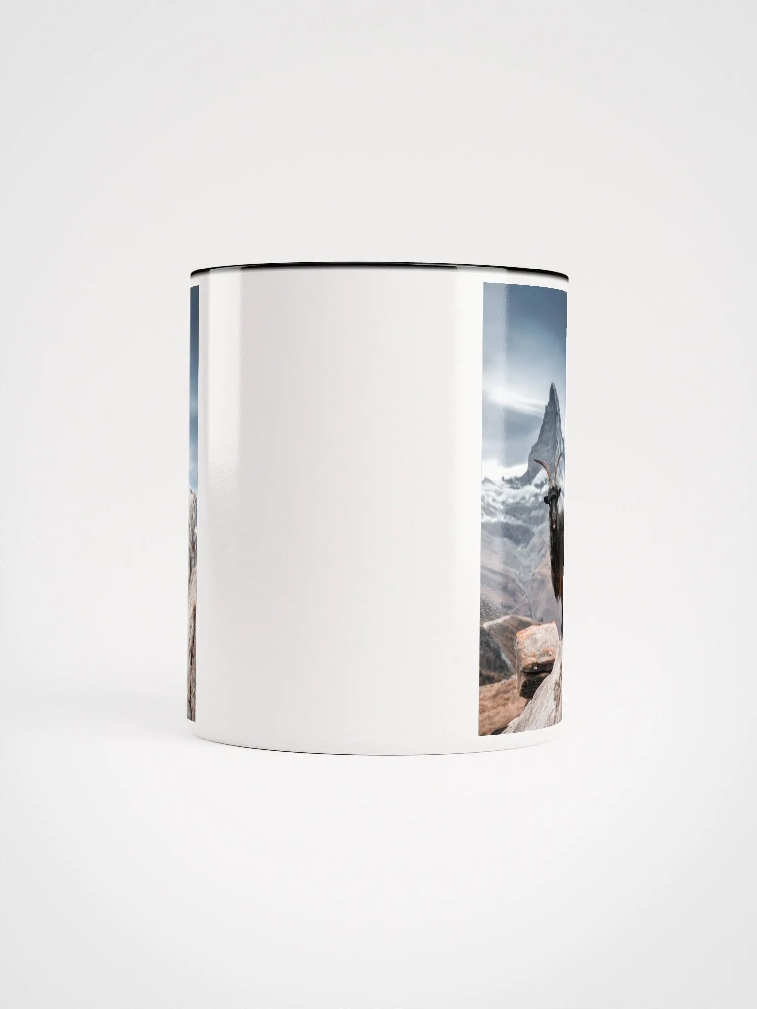 Blackneck goat product image (9)