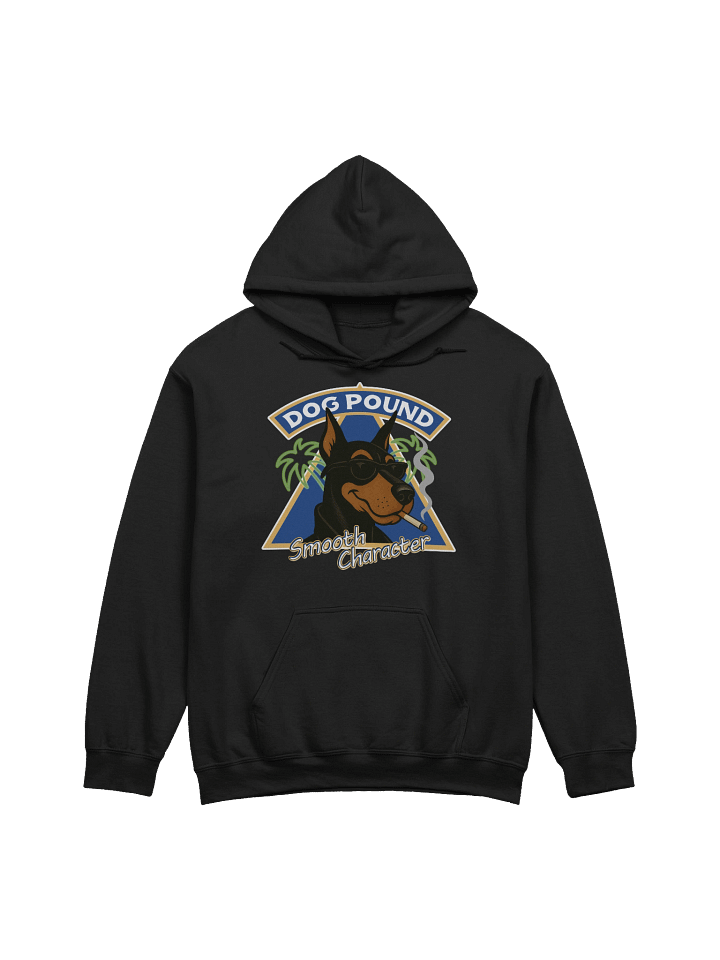 FLAVOR COUNTRY HOODIE product image (2)