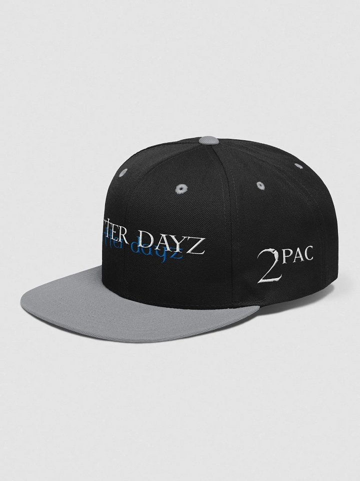 Better Dayz Snapback product image (2)