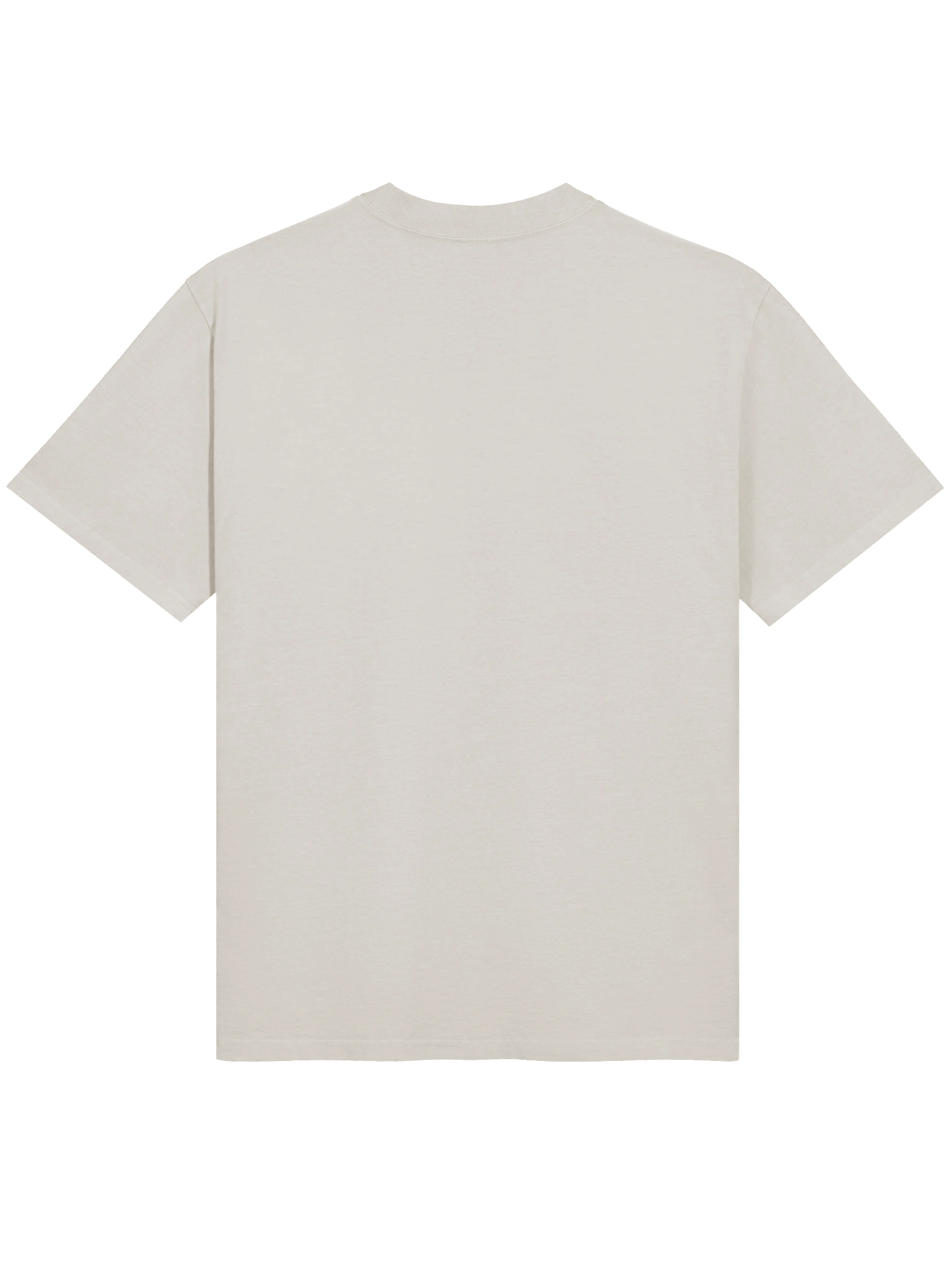 Venomous Beauty: Poison Ivy Thorned Temptation Oversized Faded Unisex T-Shirt product image (6)