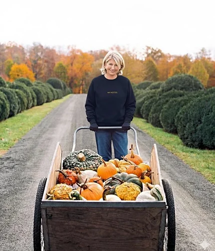 October mood a la Martha Stewart 👩‍🍳 

Check back later this month for some fall merch & cozy vibes 🫡🫡🍁🍂