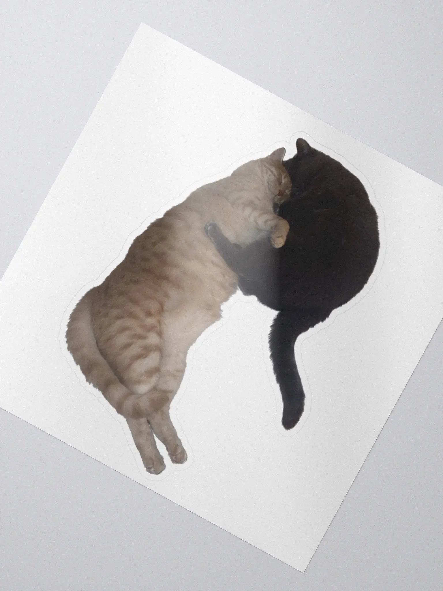 Kitty Love product image (2)