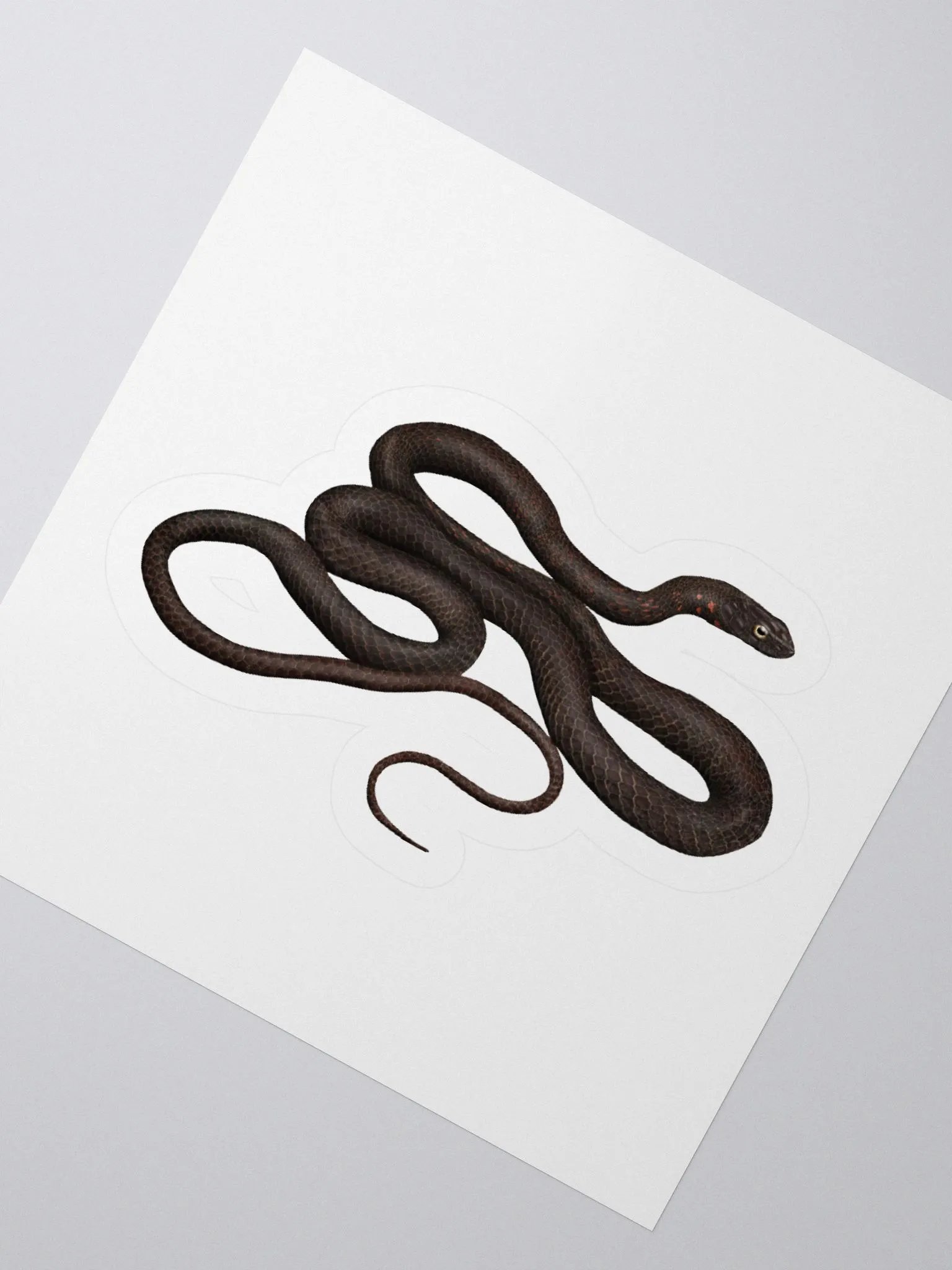 Die-Cut Sticker – Black Coachwhip product image (2)