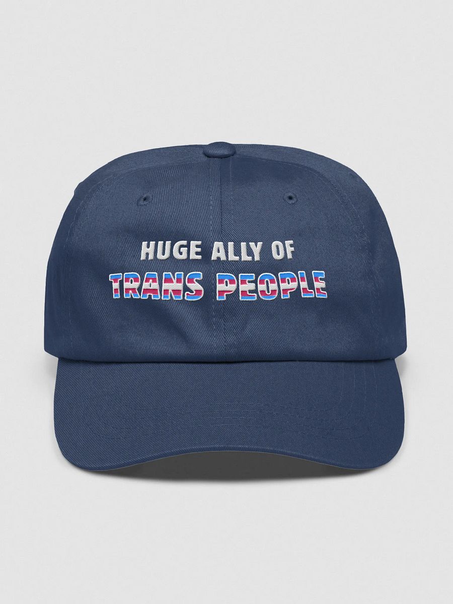 huge ally of trans people (hat) product image (1)