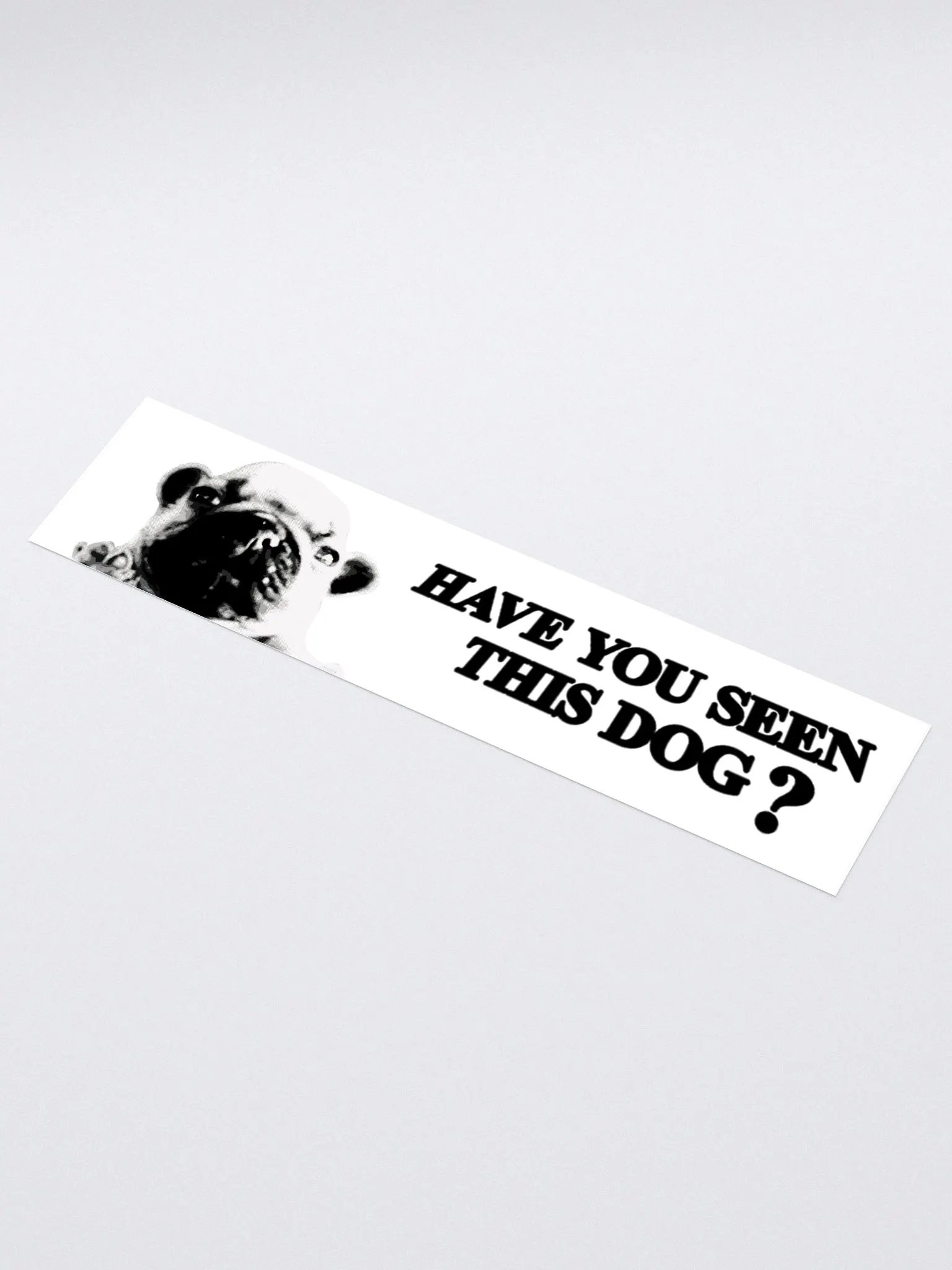 HAVE YOU SEEN THIS DOG BUMPER STICKER product image (1)