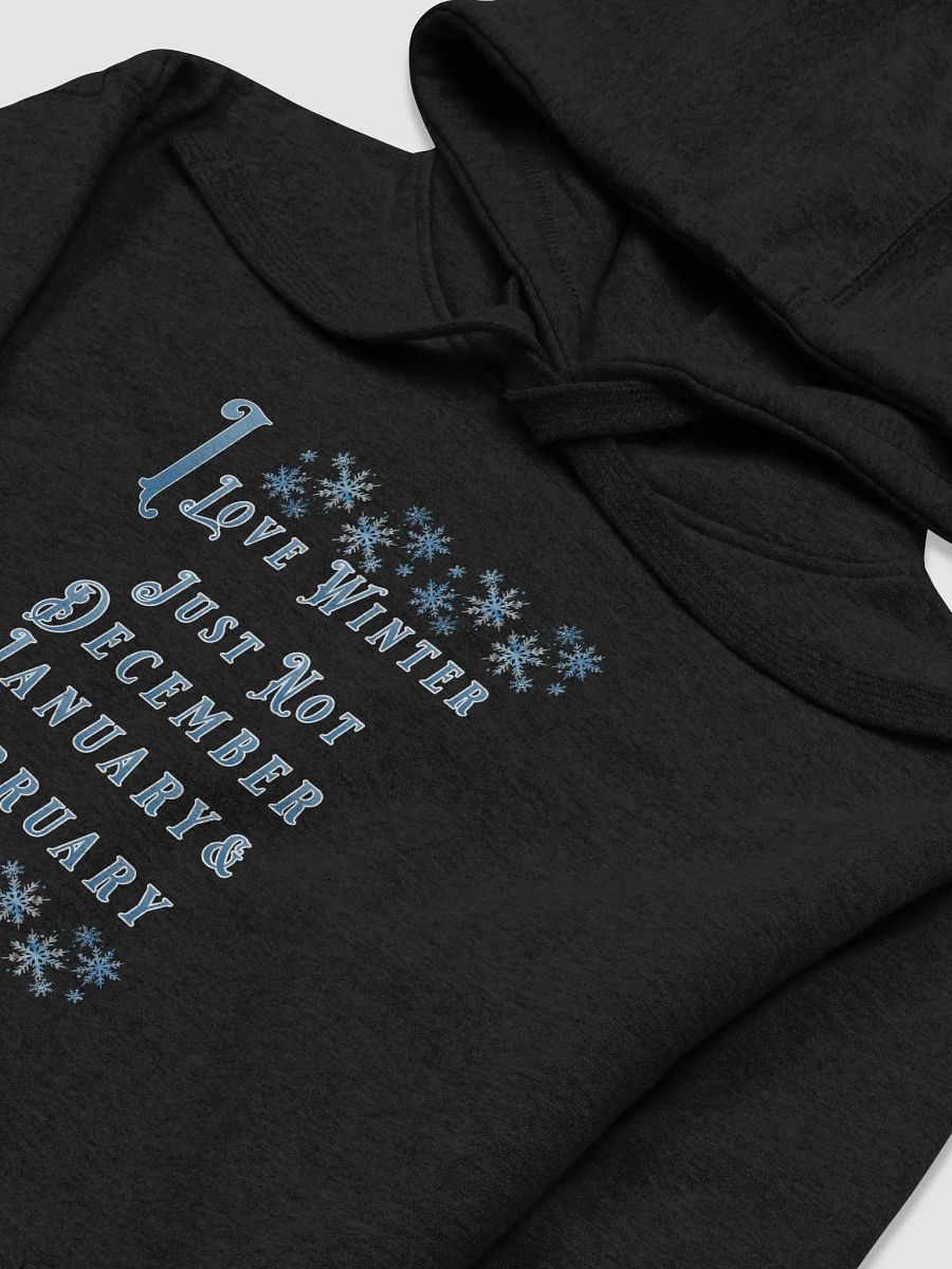 I Love Winter, Not Just December, January And February Hoodie product image (14)