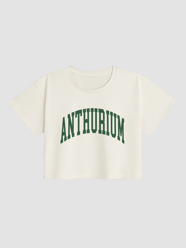 ANTHURIUM VARSITY - Crop Top product image (1)