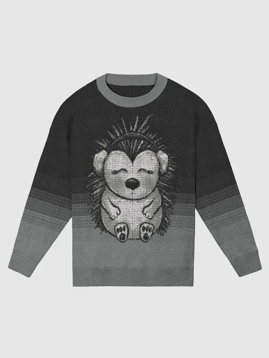 Hedgehog in a store sweater