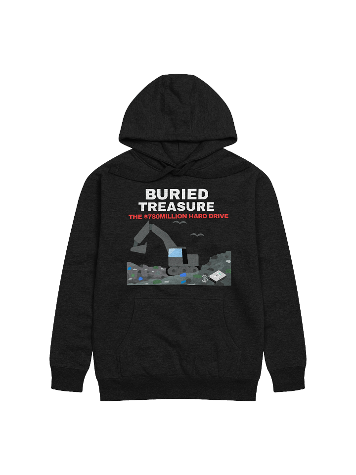 True story of Crypto loss Premium Hoodie product image (1)