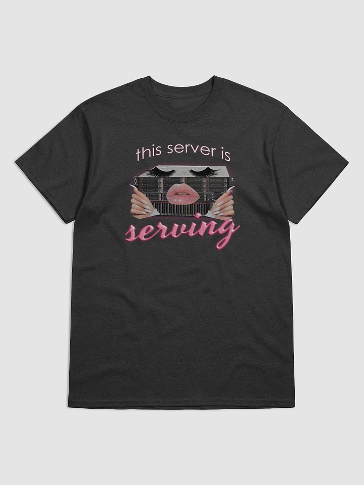 This Server is Serving T-shirt product image (1)