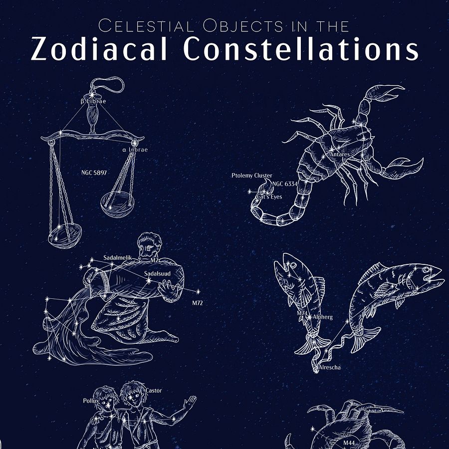 Zodiac Constellation Art & Infographics Poster product image (3)
