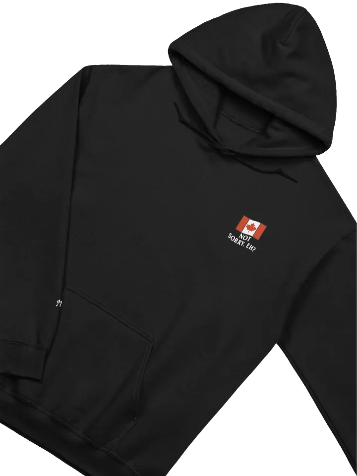 MT - "Unapologetically Canadian" Hoodie product image (30)