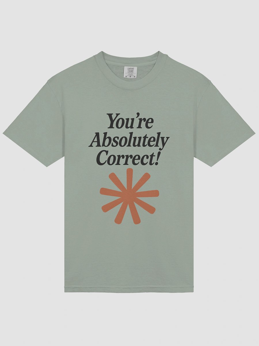 “You’re Absolutely Correct!” - AI Inside-Joke Unisex Tee | Dev & Data Nerd Gift product image (93)