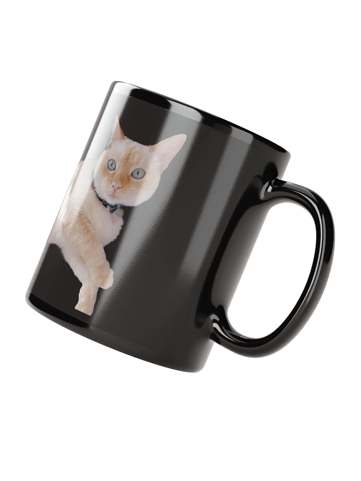 Long cat Ivry in Black product image (3)