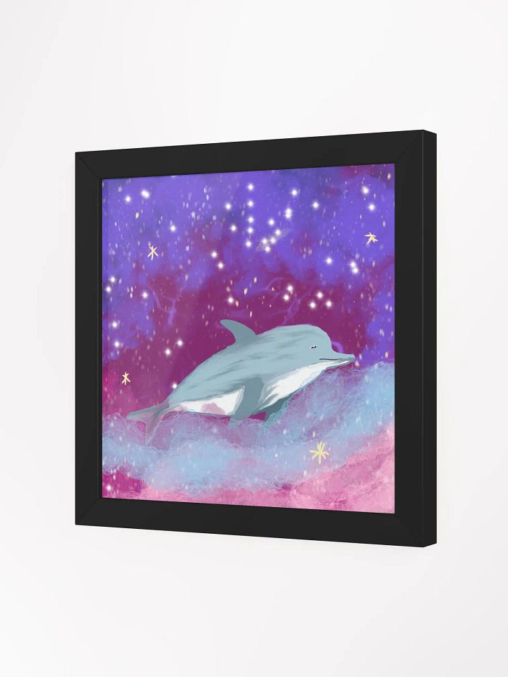 Dolphin Galaxy product image (4)