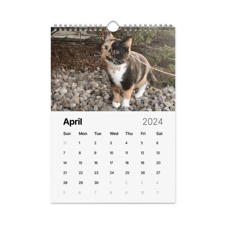 2024 Lyra Calendar product image (1)