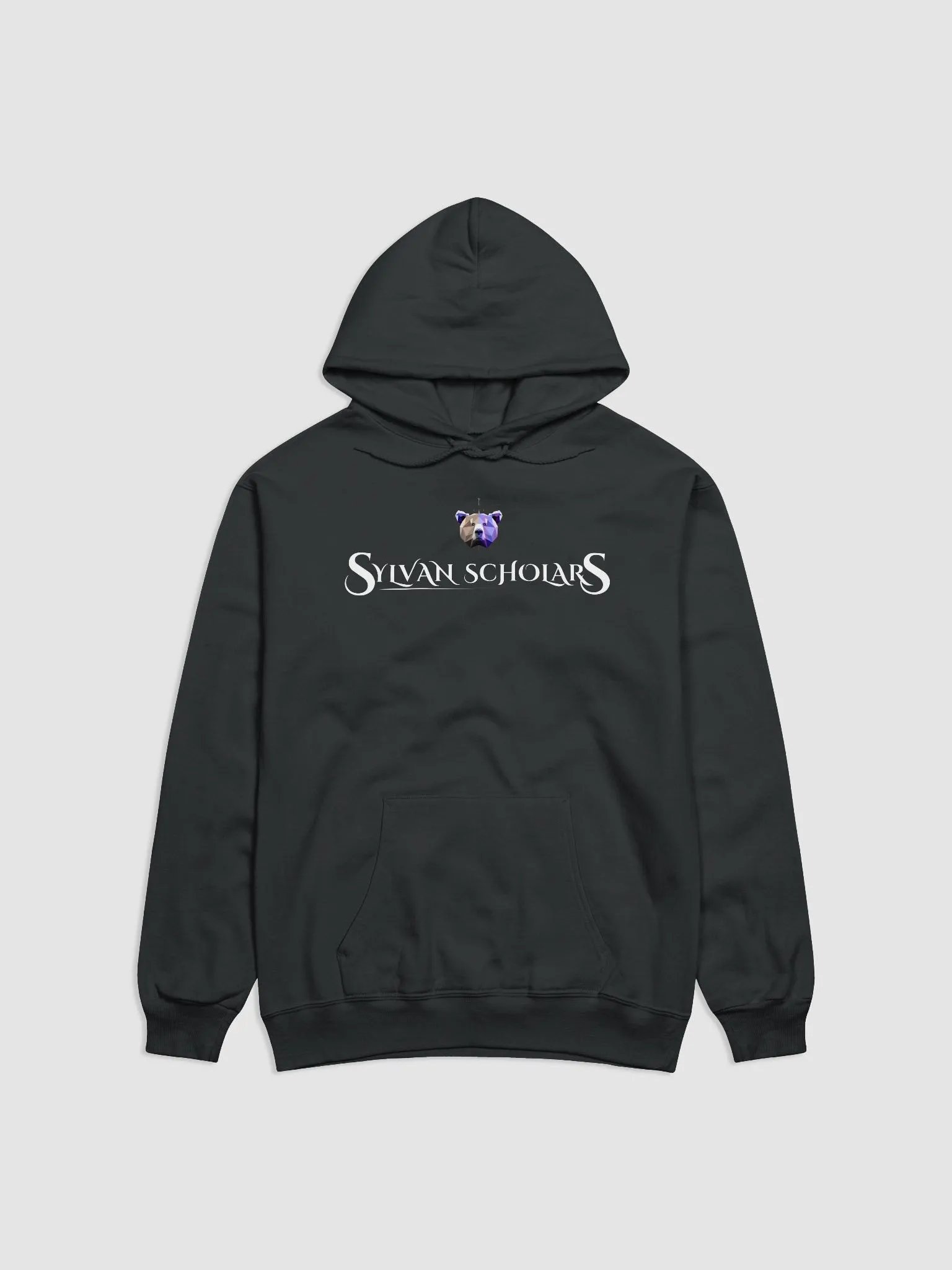 SylvanScholar Hoodie Regular product image (1)