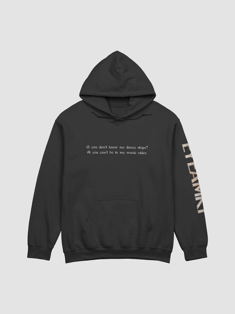 WALTZ Hoodie product image (1)