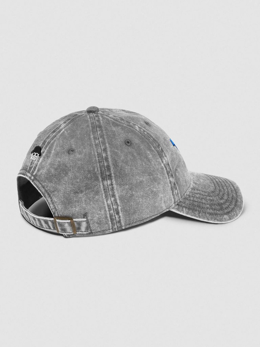 Official WP Hat product image (5)