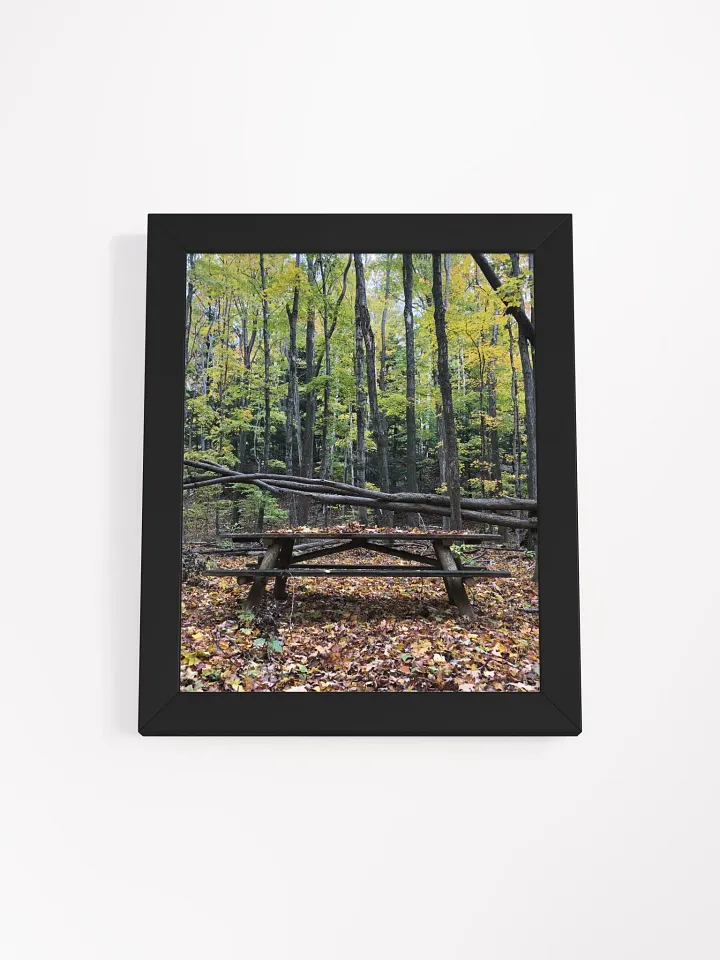 Picnic Table in the Fall High Quality Matte Poster product image (1)