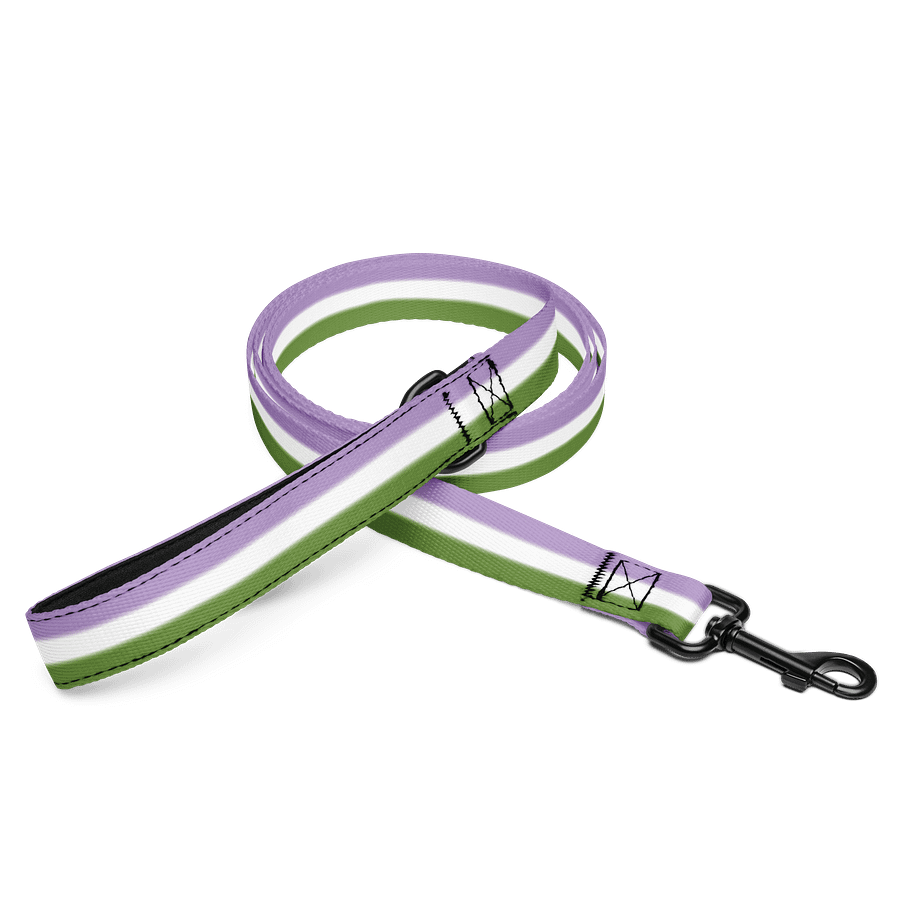 Genderqueer Pride Flag Pet Leash product image (1)