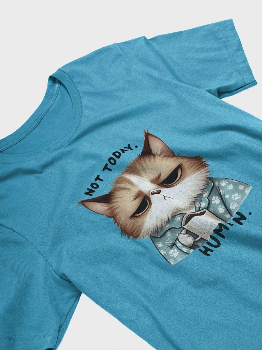 Not Today Human - Grumpy Cat Coffee T-Shirt product image (58)