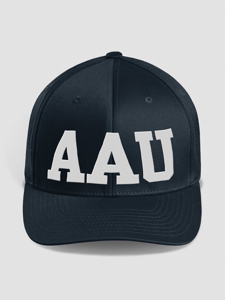 AAU Flexfit Structured Cap product image (4)
