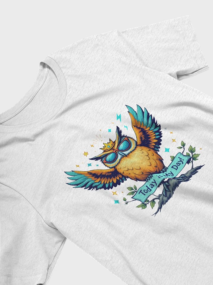 Royal Owl Celebration T-Shirt, Super Soft : Today Is My Day product image (5)
