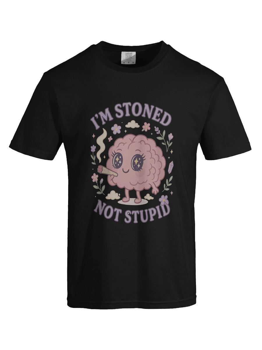 “I’m Stoned, Not Stupid” T-Shirt product image (10)