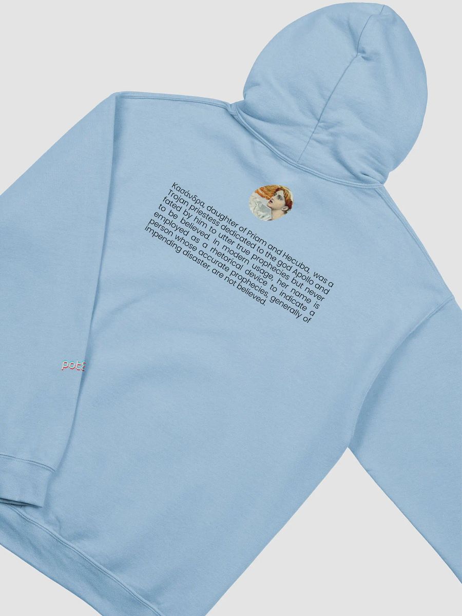 KASSANDRA premium hoodie product image (3)