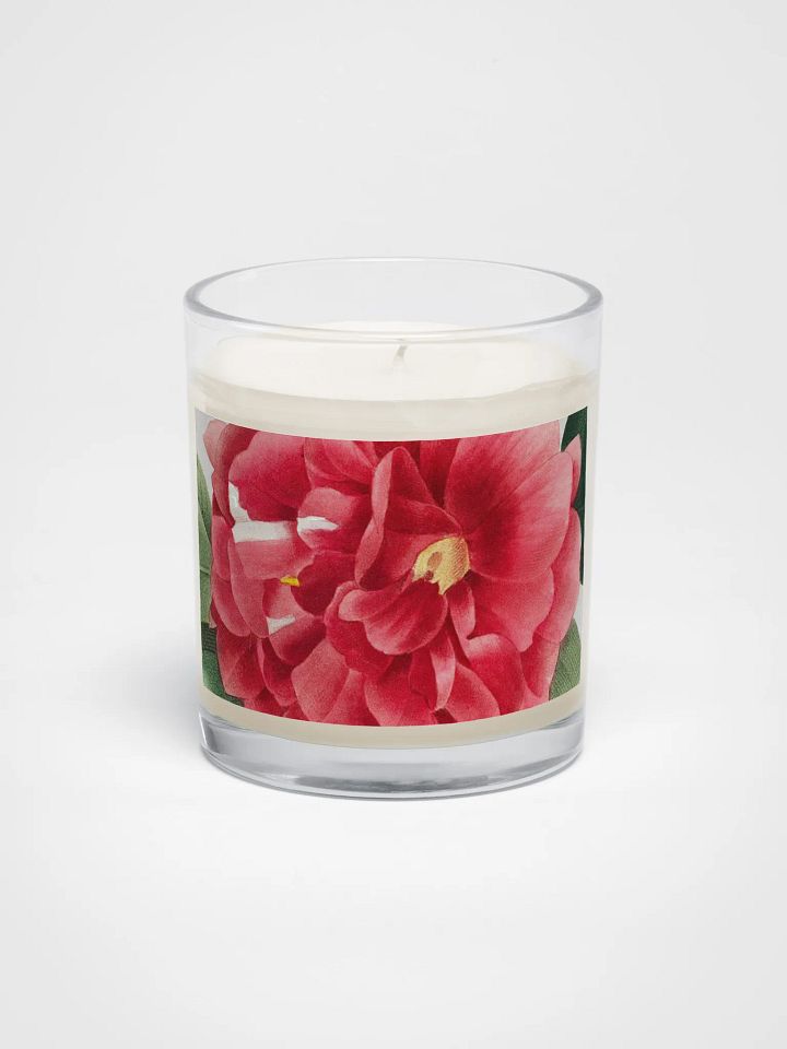 beaux fruits. Soy Wax Candle product image (1)