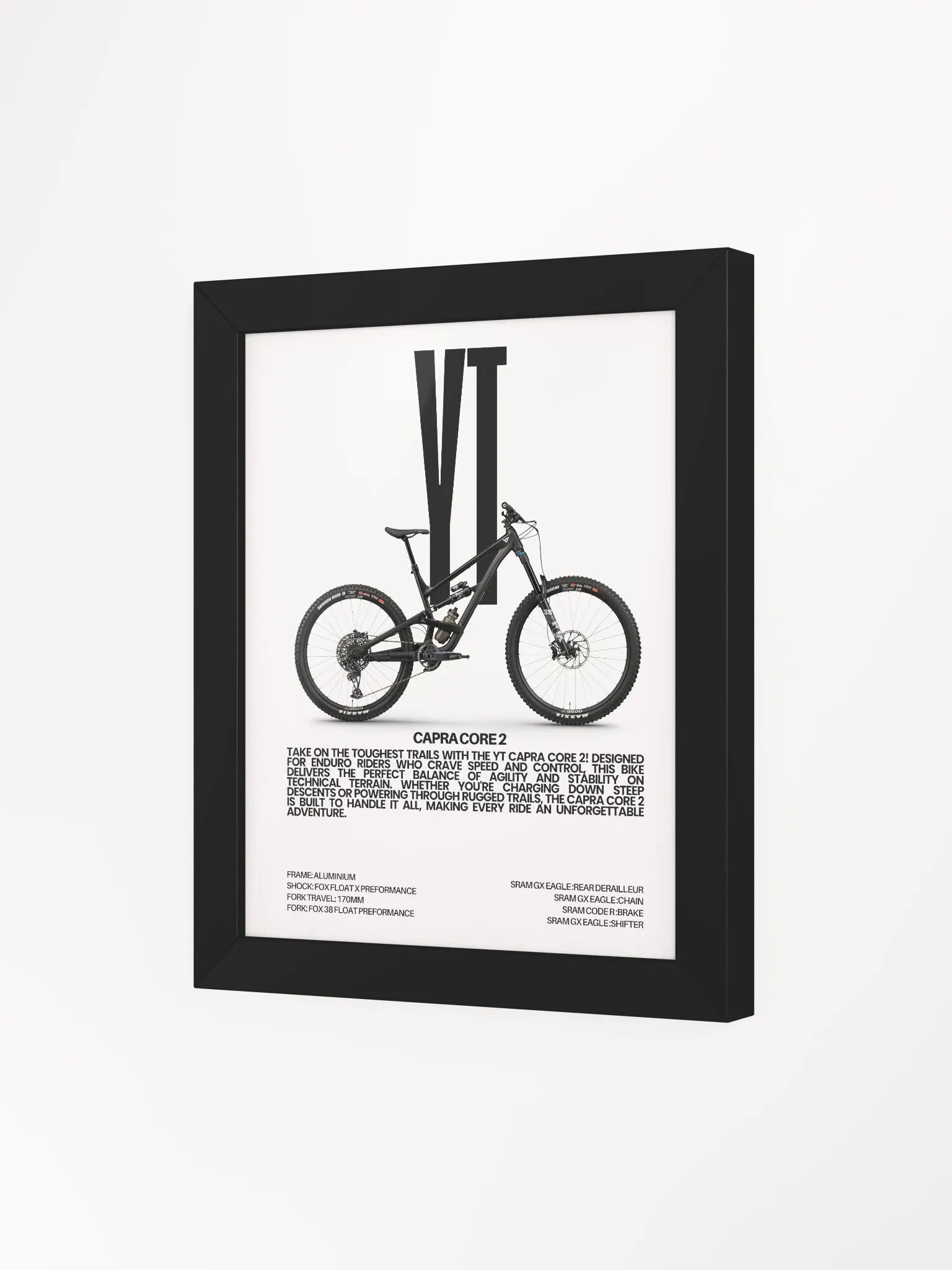 YT Capra Core 2 Frame product image (3)