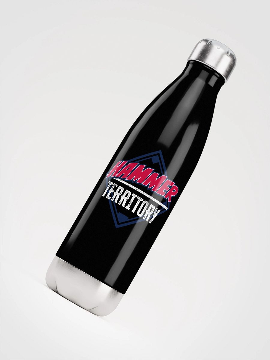 Stainless Steel Water Bottle product image (4)
