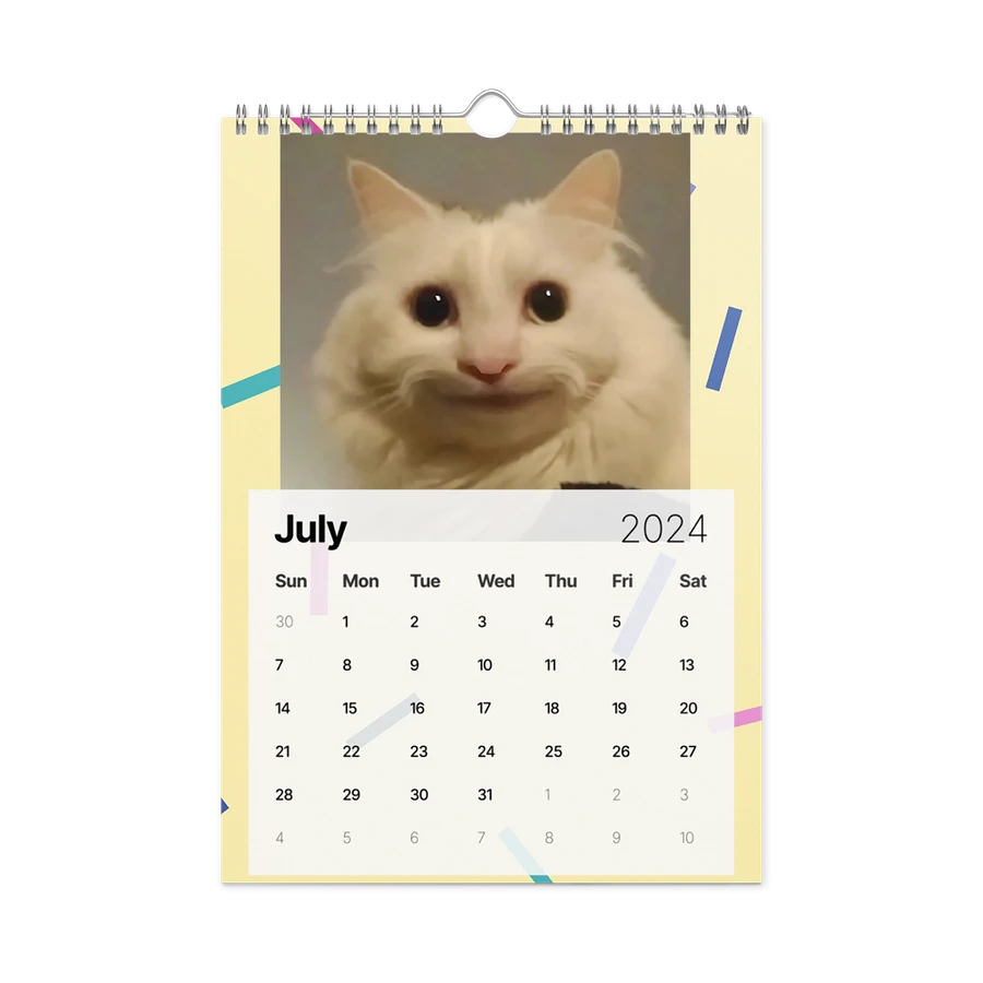 Wall Calendar (2024): Meme Cats product image (10)