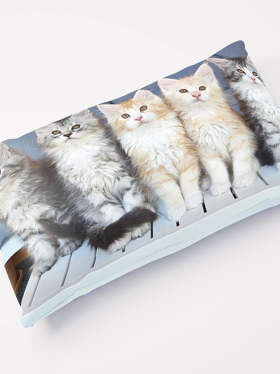 Maine Coon Kittens Pillow product image (4)